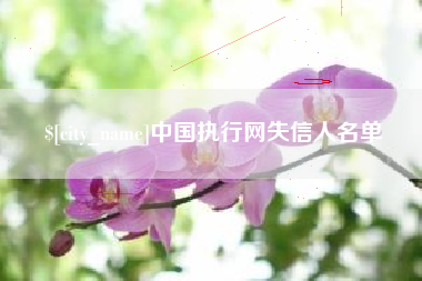 定边中国执行网失信人名单