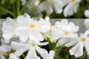 定边数字的九宫格