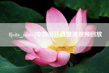 定边中国消防直播课视频回放