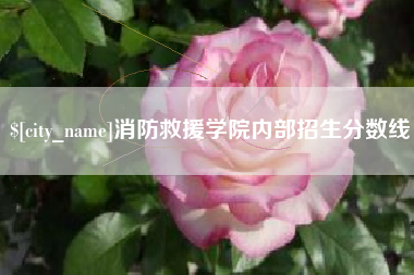 定边消防救援学院内部招生分数线