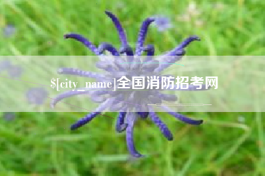 定边全国消防招考网