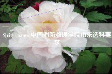 定边中国消防救援学院山东选科要求