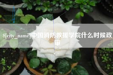 定边中国消防救援学院什么时候政审