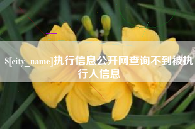 定边执行信息公开网查询不到被执行人信息