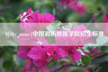 定边中国消防救援学院招生标准