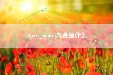 定边九金是什么
