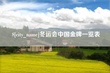 定边冬运会中国金牌一览表