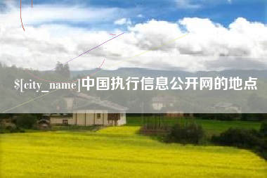 定边中国执行信息公开网的地点