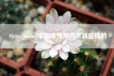 定边中国金牌哪六金最值钱的