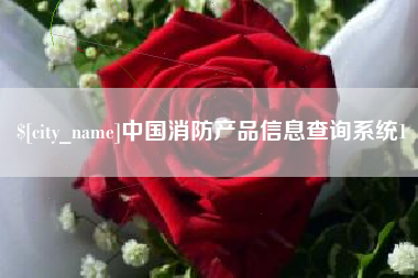 定边中国消防产品信息查询系统1