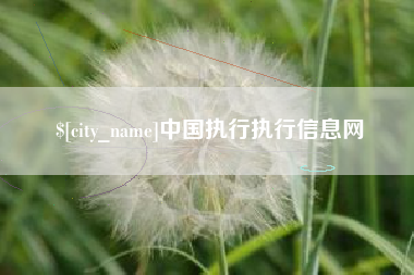 定边中国执行执行信息网