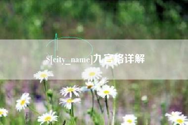 定边九宫格详解