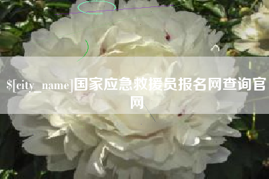 定边国家应急救援员报名网查询官网