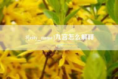 定边九宫怎么解释