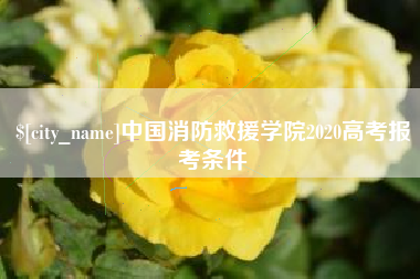 定边中国消防救援学院2020高考报考条件