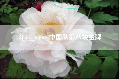 定边中国队第八块金牌