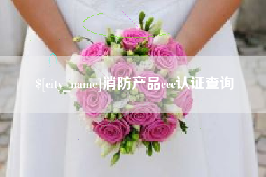 定边消防产品ccc认证查询