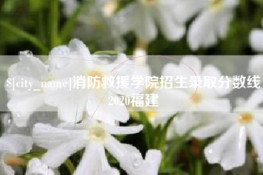 定边消防救援学院招生录取分数线2020福建