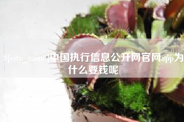 定边中国执行信息公开网官网app为什么要钱呢