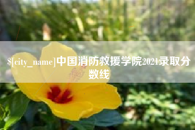 定边中国消防救援学院2021录取分数线