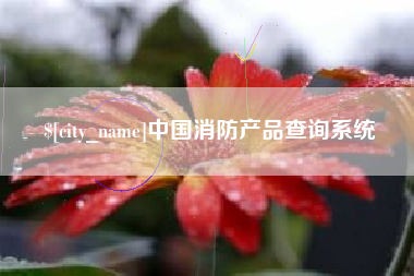 定边中国消防产品查询系统