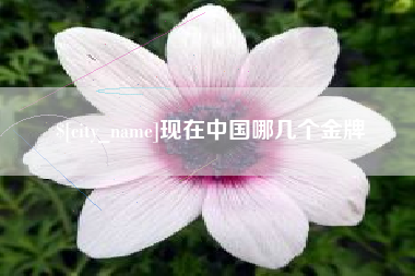 定边现在中国哪几个金牌