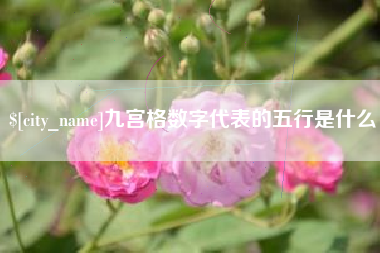 定边九宫格数字代表的五行是什么