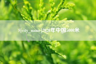 定边2020年中国5000米