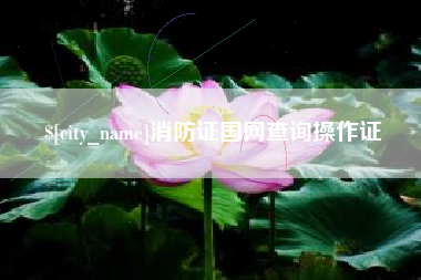 定边消防证国网查询操作证