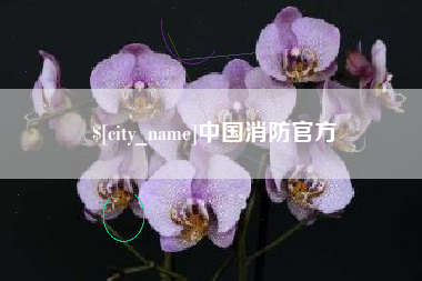 定边中国消防官方