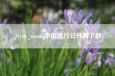 定边中国执行公开网下载