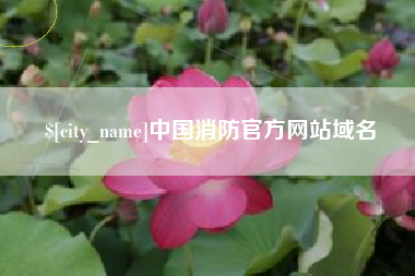 定边中国消防官方网站域名