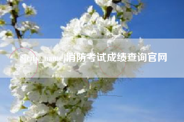 定边消防考试成绩查询官网