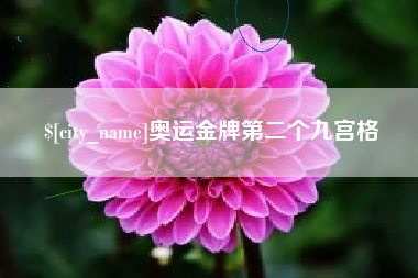 定边奥运金牌第二个九宫格