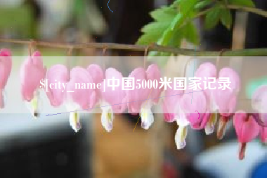 定边中国5000米国家记录
