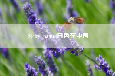 定边白色在中国
