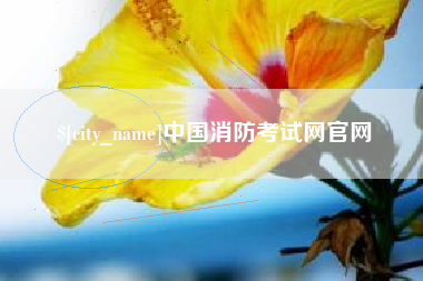 定边中国消防考试网官网
