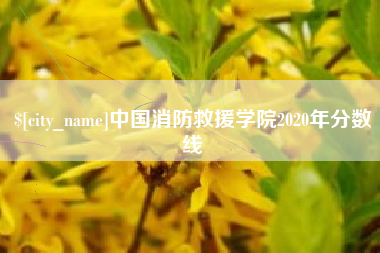 定边中国消防救援学院2020年分数线