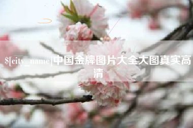 定边中国金牌图片大全大图真实高清