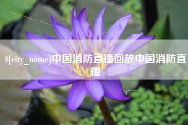 定边中国消防直播回放中国消防直播