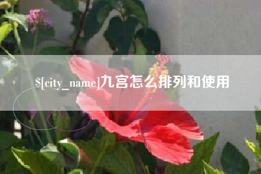 定边九宫怎么排列和使用