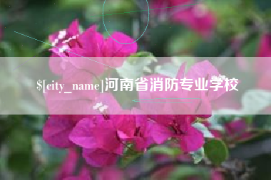 定边河南省消防专业学校