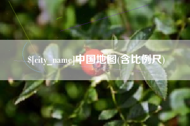 定边中国地图(含比例尺)