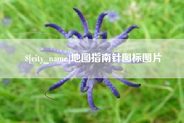 定边地图指南针图标图片