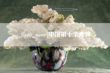 定边中国第十个金牌