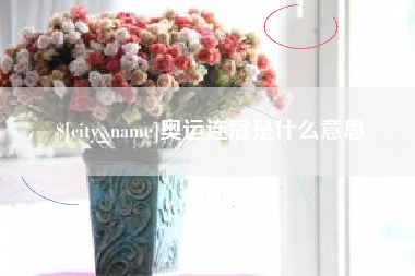 定边奥运连冠是什么意思