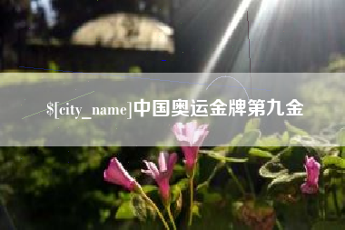 定边中国奥运金牌第九金