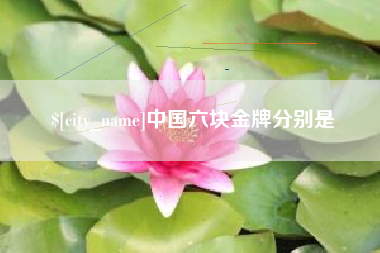 定边中国六块金牌分别是
