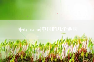 定边中国的几个金牌