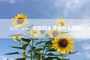定边中国的金牌是什么样的